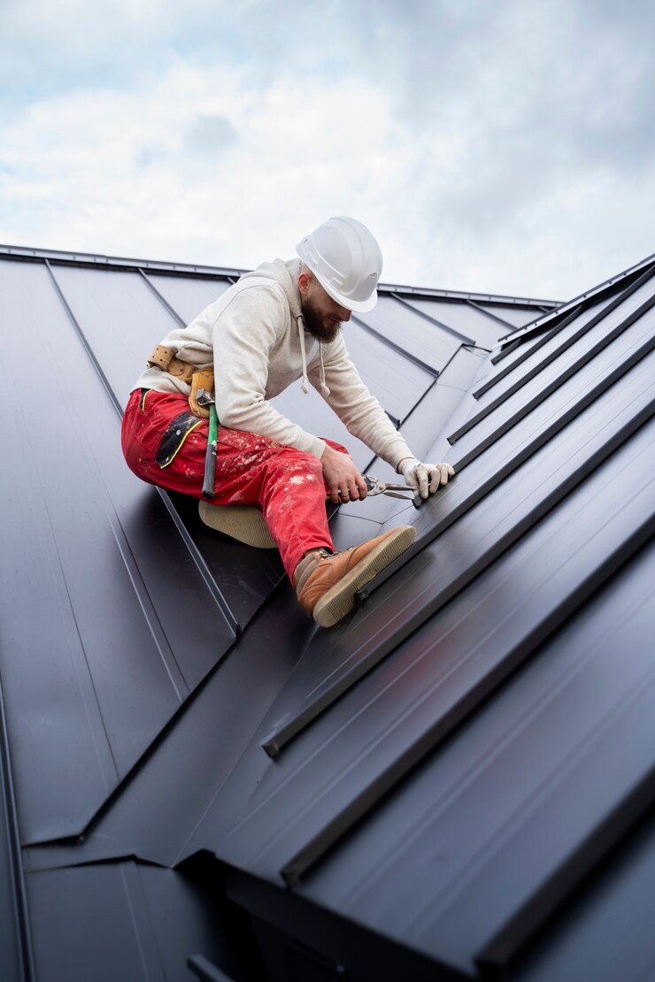 Roof Painting